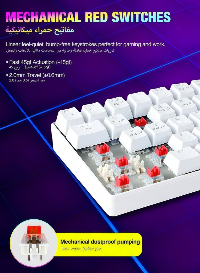 AOR Esports Keyboard, gaming keyboard, red axis, Arabic keycap, Arabic keyboard,  Type-C interface, 61 compact key design, white wired keyboard - Image 5